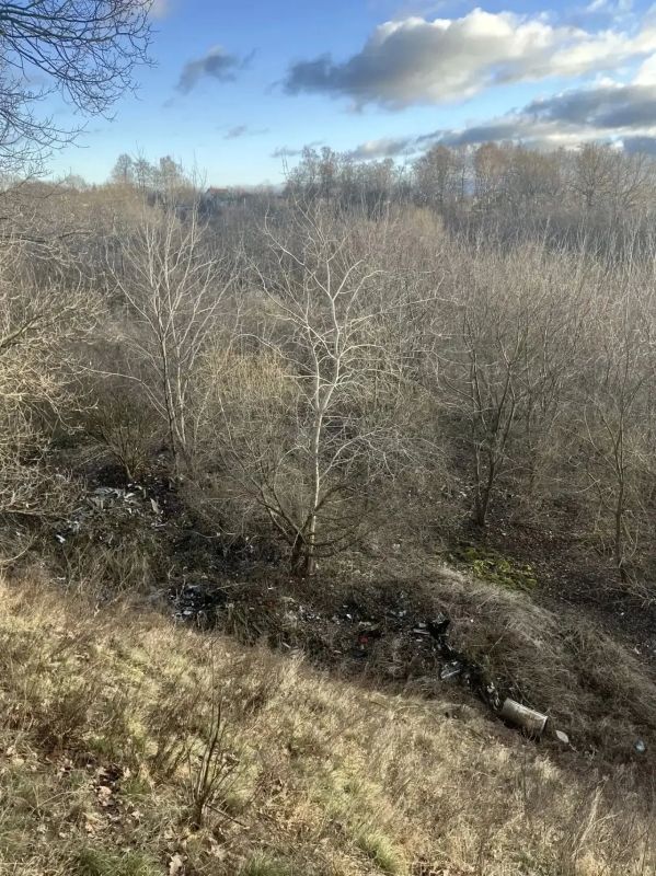 В Пионерском планируют построить амфитеатр и проложить веломаршрут у реки Чистой