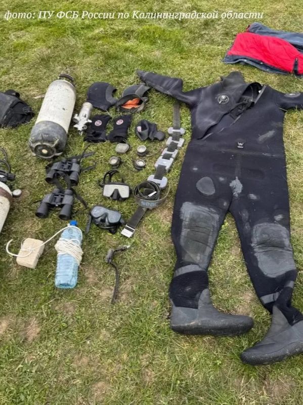 Полицейские и пограничники поймали дайвера на незаконной добыче янтаря в Балтийском море