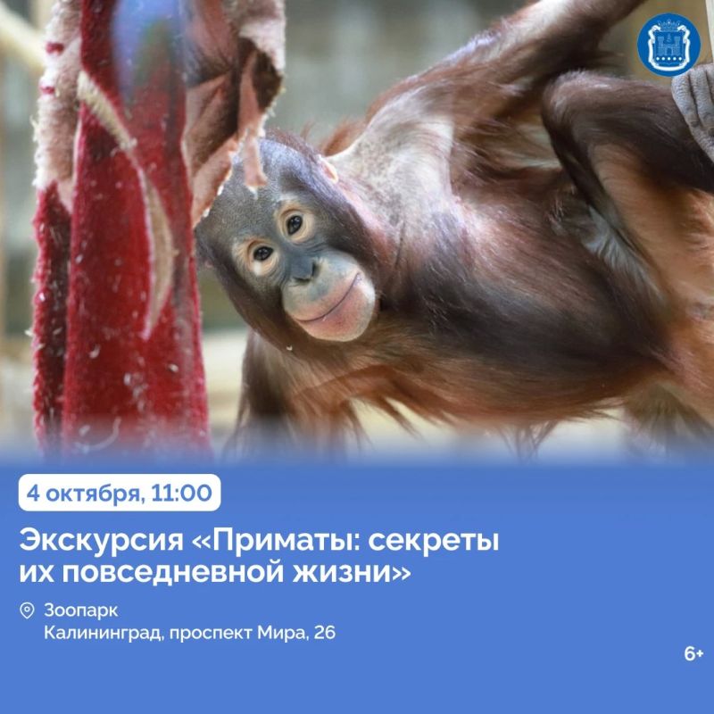 В арт-пространстве Янтарь-холла в Светлогорске открыли выставку «Искусство вне времени» В арт-пространстве Янтарь-холла в Светлогорске открыли выставку «Искусство вне времени»