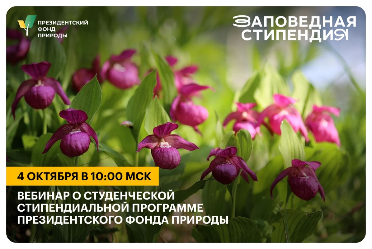 12 октября завершается прием заявок на студенческую стипендиальную программу Президентского фонда природы 12 октября завершается прием заявок на студенческую стипендиальную программу Президентского фонда природы