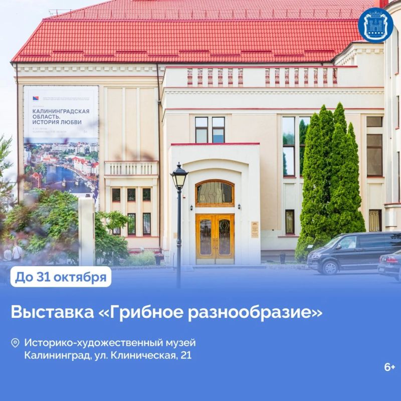 В арт-пространстве Янтарь-холла в Светлогорске открыли выставку «Искусство вне времени» В арт-пространстве Янтарь-холла в Светлогорске открыли выставку «Искусство вне времени»