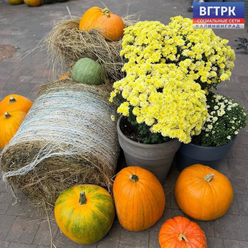 Краски осени Краски осени