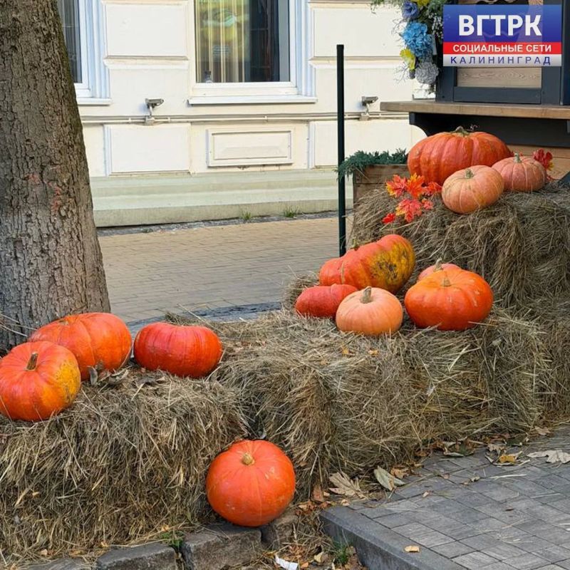 Краски осени Краски осени