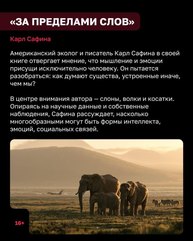 В воскресенье, 4 октября, отмечают Всемирный день защиты животных В воскресенье, 4 октября, отмечают Всемирный день защиты животных