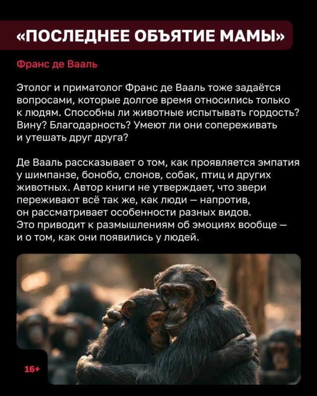 В воскресенье, 4 октября, отмечают Всемирный день защиты животных В воскресенье, 4 октября, отмечают Всемирный день защиты животных