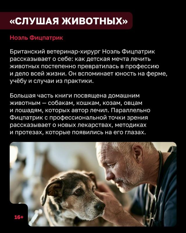 В воскресенье, 4 октября, отмечают Всемирный день защиты животных В воскресенье, 4 октября, отмечают Всемирный день защиты животных