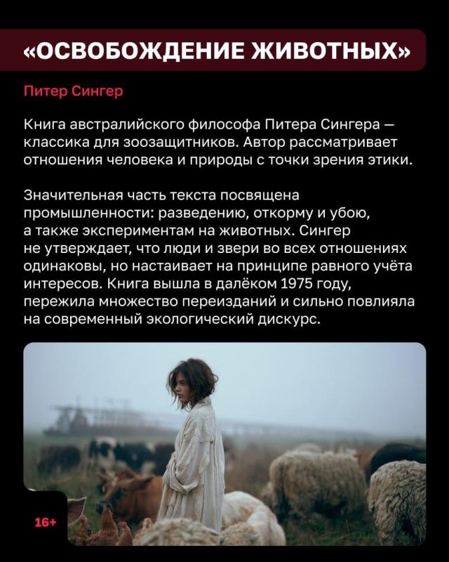 В воскресенье, 4 октября, отмечают Всемирный день защиты животных В воскресенье, 4 октября, отмечают Всемирный день защиты животных