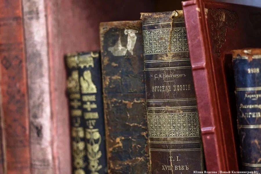 #АфишаНК. Более 300 мероприятий запланированы в рамках «Дней литературы» в Калининградской области В Калининградской области с 12 по 31 октября пройдут «Дни литературы»