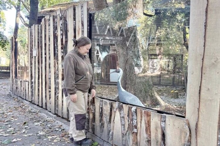 В Калининградском зоопарке благоустроили вольер журавлей