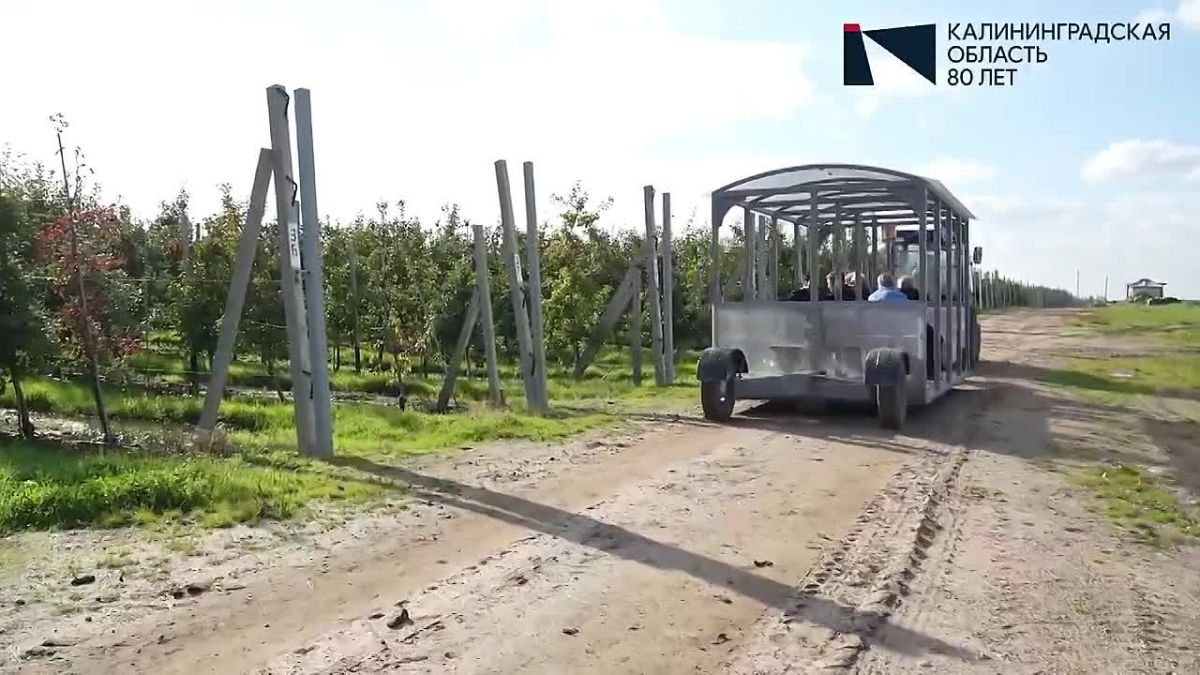 Яблочный сезон обещает быть щедрым в этом году!