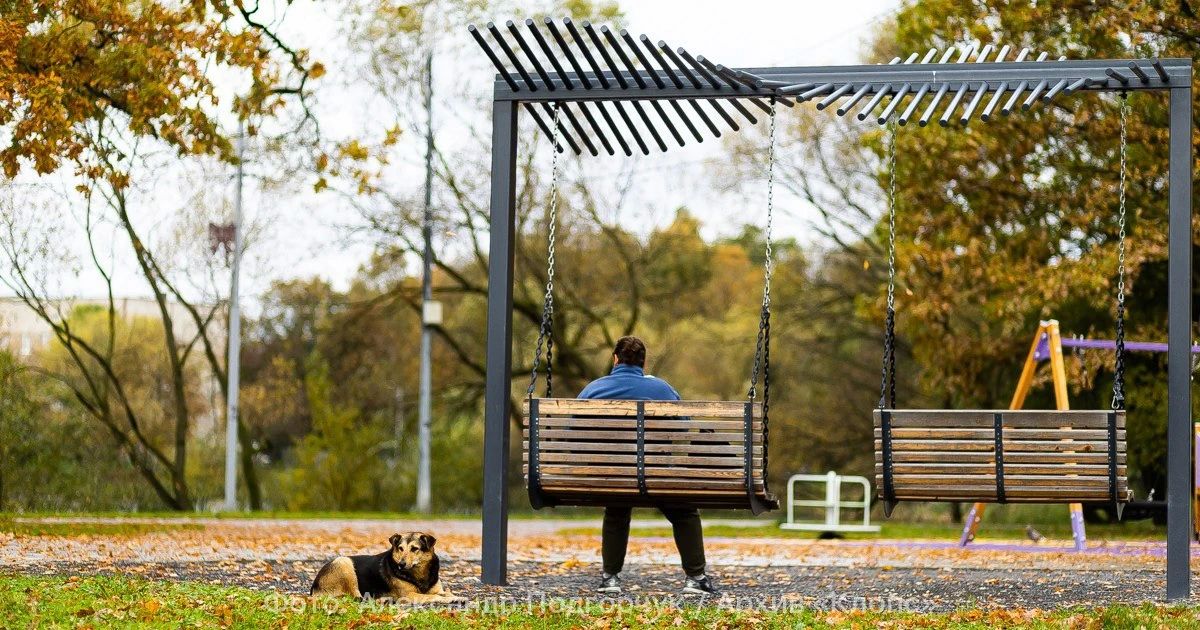 Ветер стихнет, дождь уйдёт: какая погода ждёт Калининград 7 октября