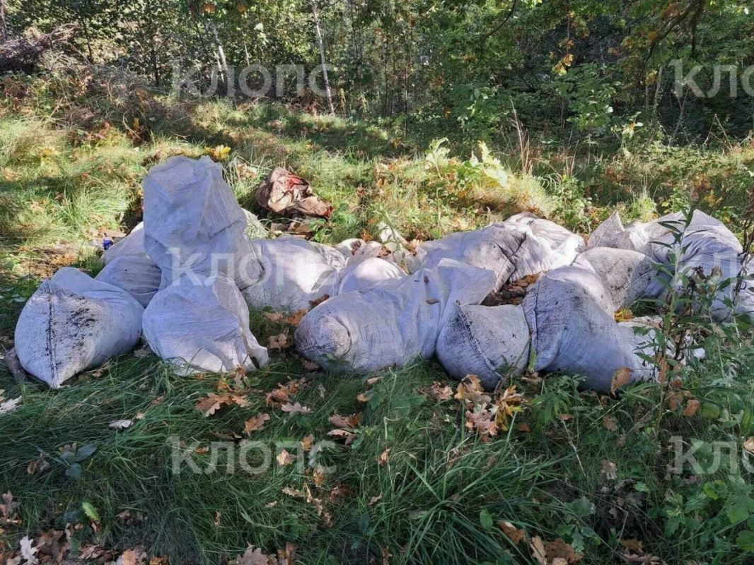 «Магия леса» закончилась горами мусора: в Пионерском устроили свалку по пути к Камню лжи