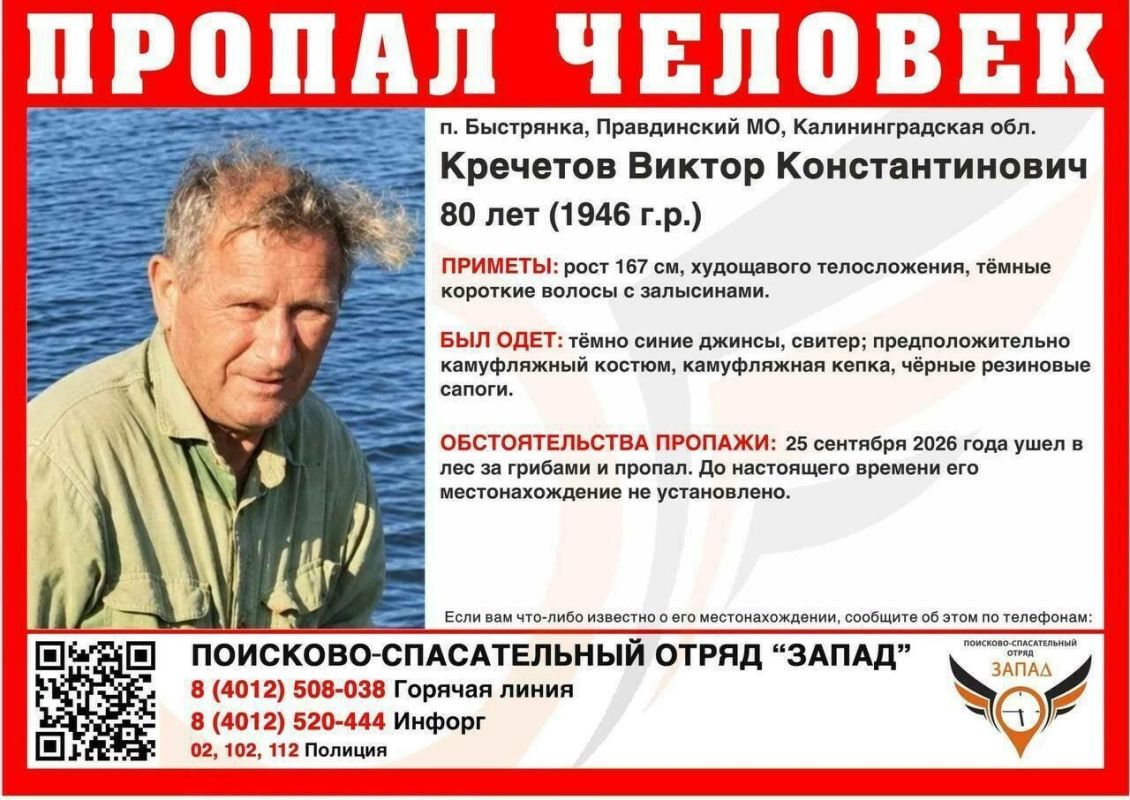 В лесу под Правдинском продолжаются поиски 80-летнего грибника