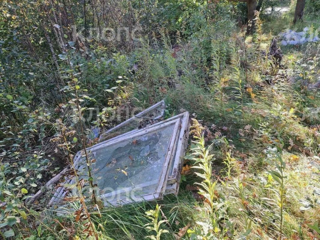 «Магия леса» закончилась горами мусора: в Пионерском устроили свалку по пути к Камню лжи «Магия леса» закончилась горами мусора: в Пионерском устроили свалку по пути к Камню лжи