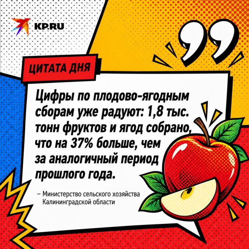 В минсельхозе заявили о щедром урожае яблок в Калининградской области