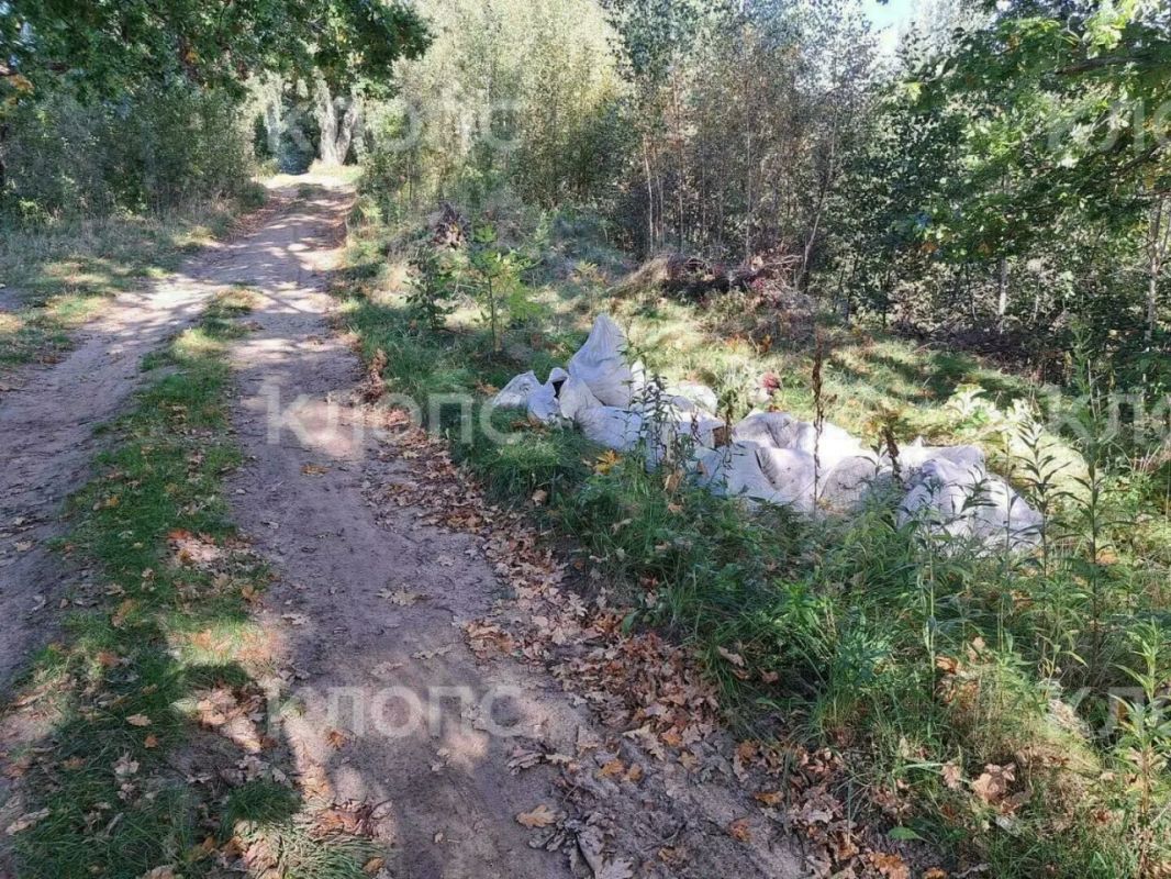 «Магия леса» закончилась горами мусора: в Пионерском устроили свалку по пути к Камню лжи «Магия леса» закончилась горами мусора: в Пионерском устроили свалку по пути к Камню лжи