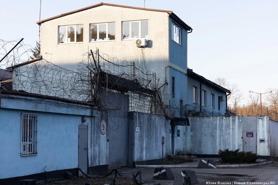 Калининградца отправили в колонию за донат экстремистам в 2100 рублей