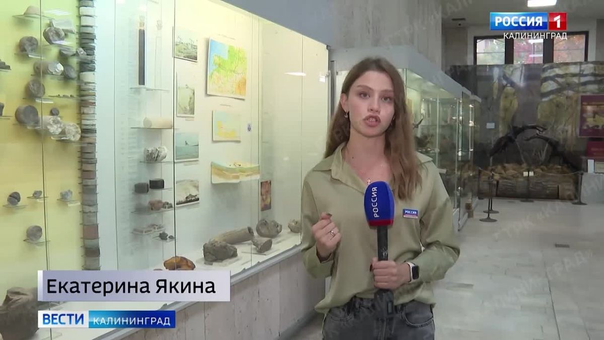В Черняховском районе нашли останки мамонта