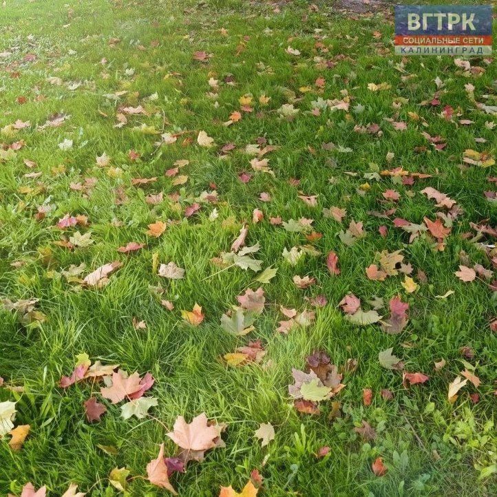 Там, где лето встречается с осенью Там, где лето встречается с осенью