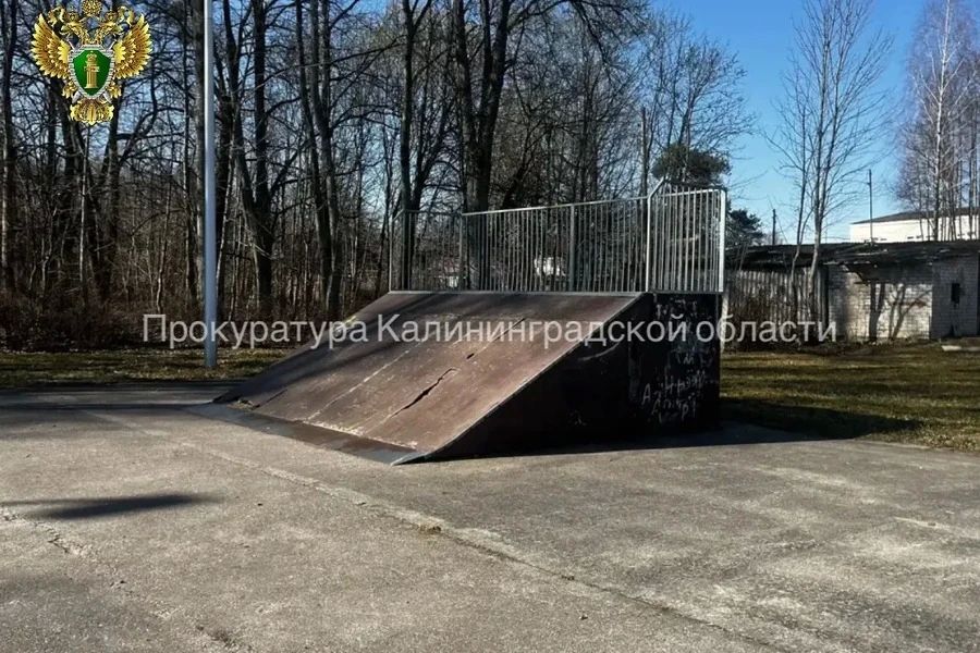 Из-за перелома самокатера администрацию Краснознаменска оштрафовали на 100 тыс