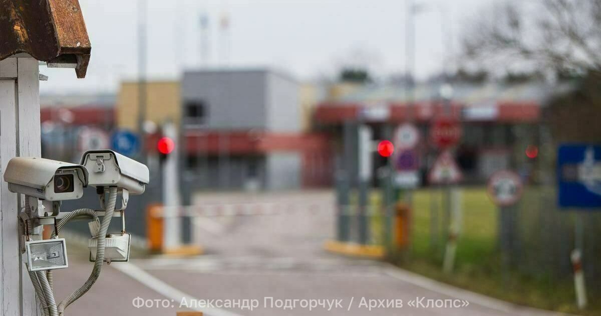 Запретный плод — брусника: россиянин пытался ввезти в Калининградскую область из Литвы 13,5 кг ягод
