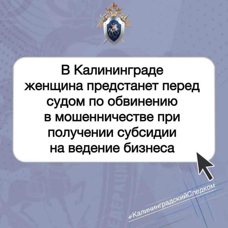 В Калининграде женщина предстанет перед судом по обвинению в мошенничестве при получении субсидии на ведение бизнеса
