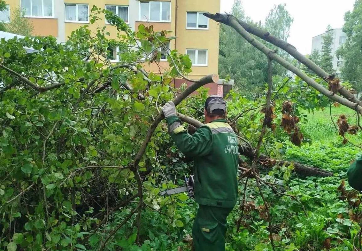 Штормовой циклон отрубает электричество в Калининграде