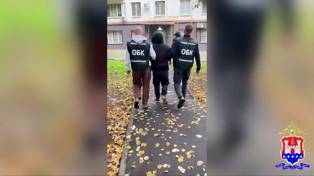 Москвич соблазнял школьниц в интернете — он склонял к интиму несовершеннолетних по видеосвязи