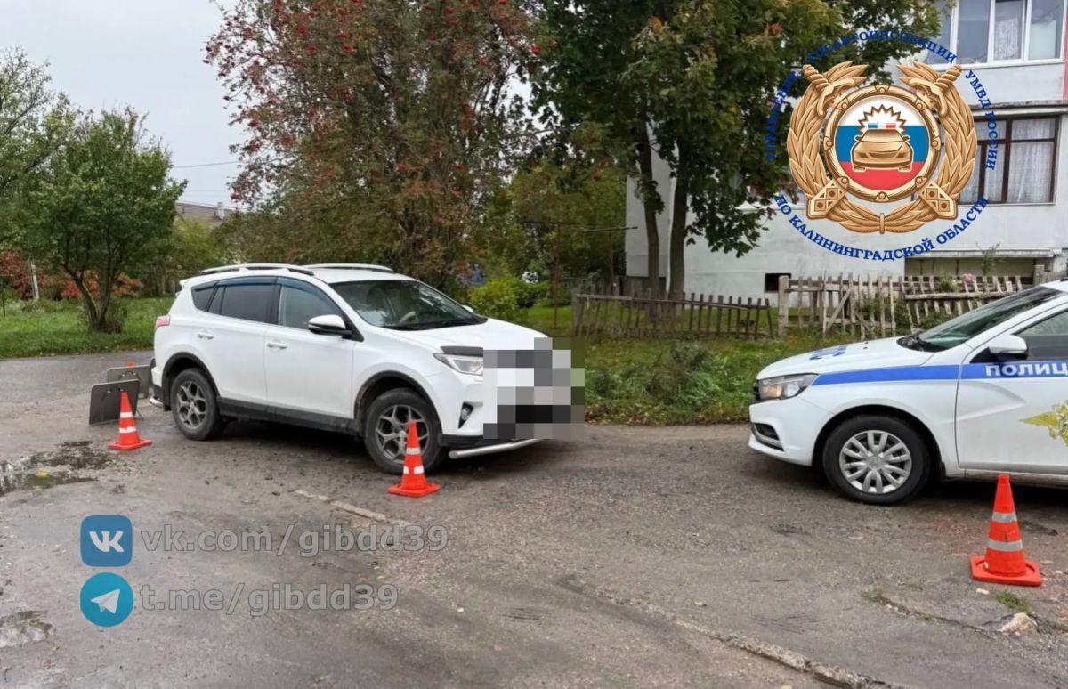 По предварительным данным, 10.10.2026 около 09:50 в Гурьевском районе, п. Родники на ул. Юбилейная в районе д. 4, водитель 1976 г.р., управляя автомобилем «Тойота» при движении задним ходом допустил наезд на пешехода 1938...