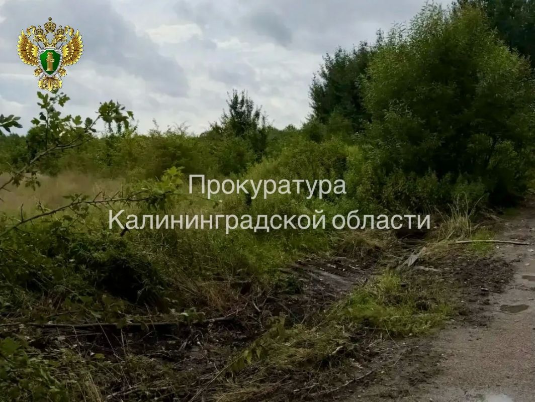 После вмешательства прокуратуры Гурьевского района ликвидирована свалка на территории муниципального округа После вмешательства прокуратуры Гурьевского района ликвидирована свалка на территории муниципального округа