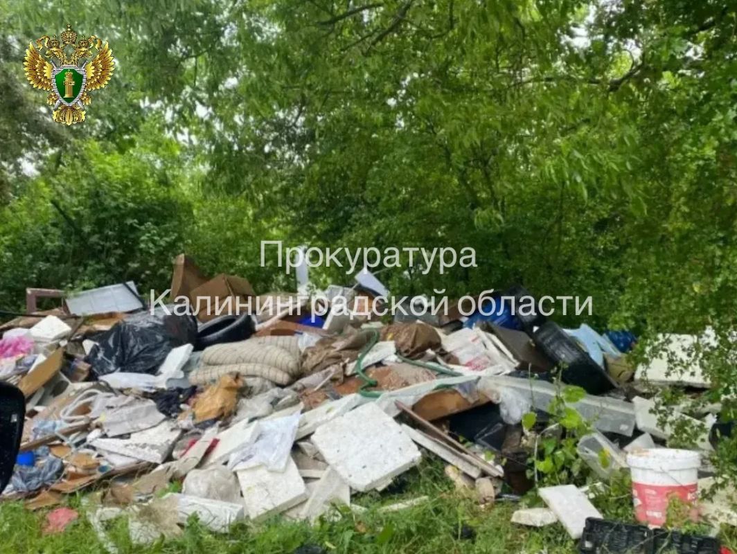 После вмешательства прокуратуры Гурьевского района ликвидирована свалка на территории муниципального округа
