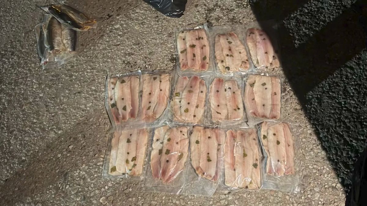 Сотрудниками калининградской транспортной полиции раскрыта кража с судна на сумму более 32 тысяч рублей Сотрудниками калининградской транспортной полиции раскрыта кража с судна на сумму более 32 тысяч рублей