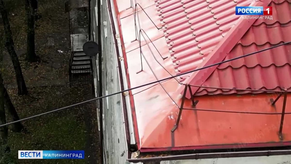 В Калининградской области начали запускать дроны для контроля разных сфер