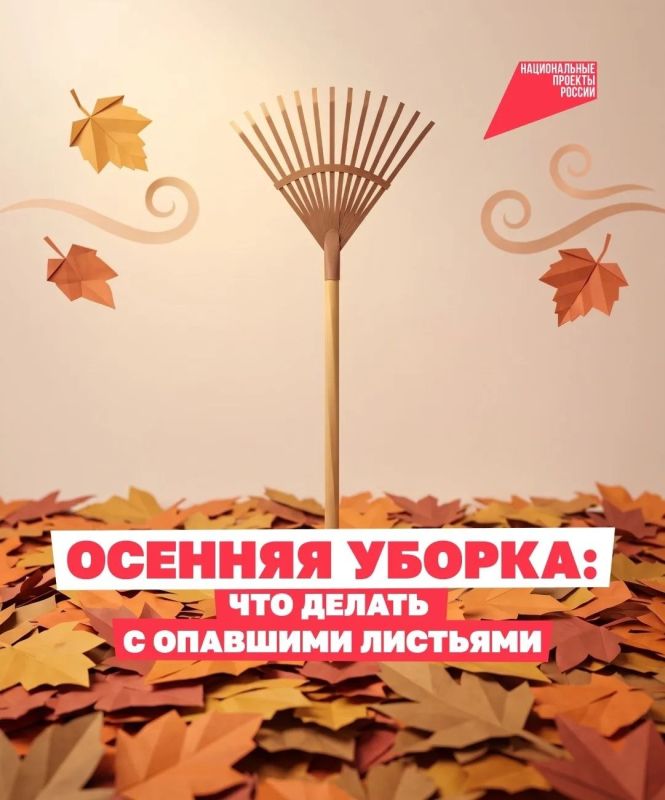 Листья на участке: убрать нельзя оставить