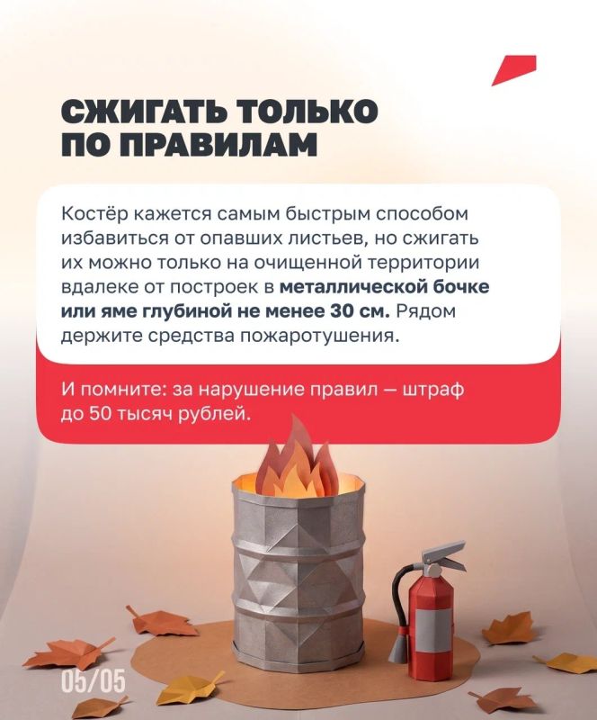 Листья на участке: убрать нельзя оставить Листья на участке: убрать нельзя оставить