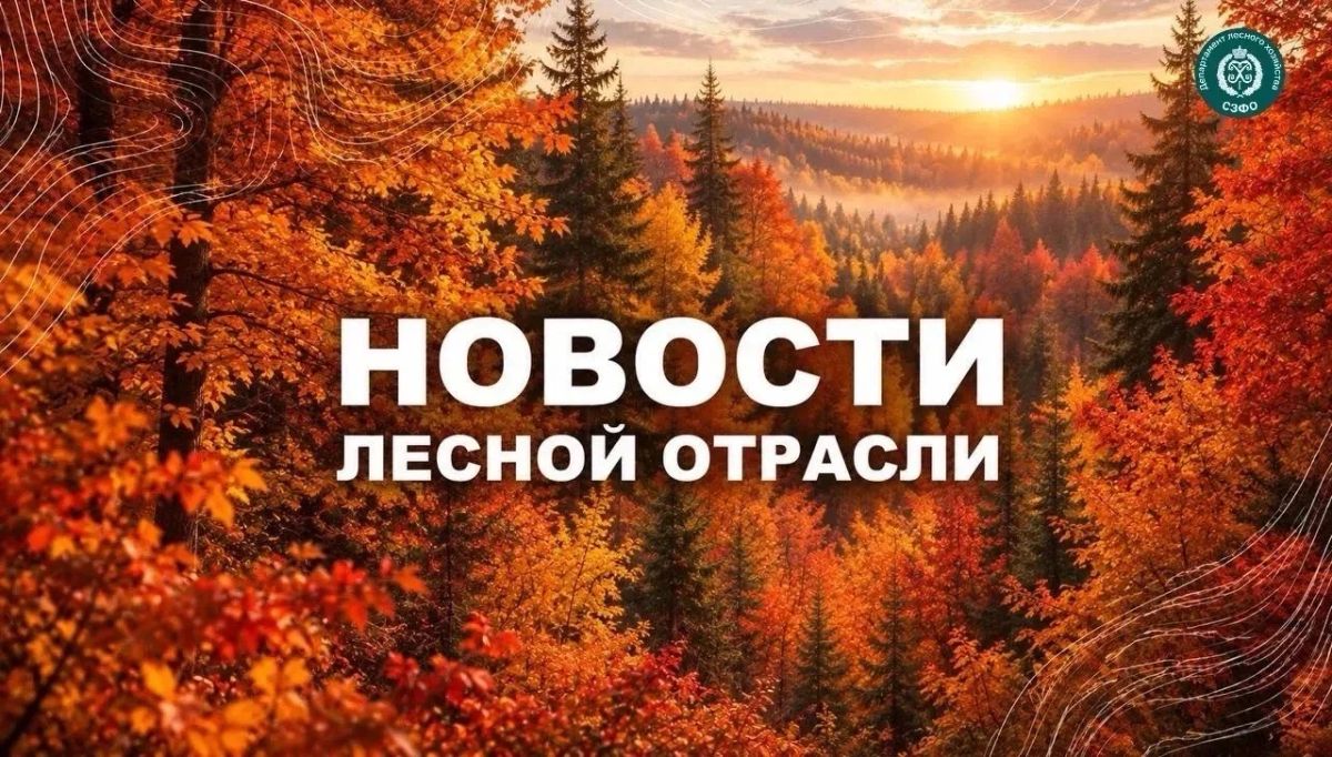 Московский Комсомолец Калининград: Более 700 рейдов провели в лесах Калининградской области за три месяца