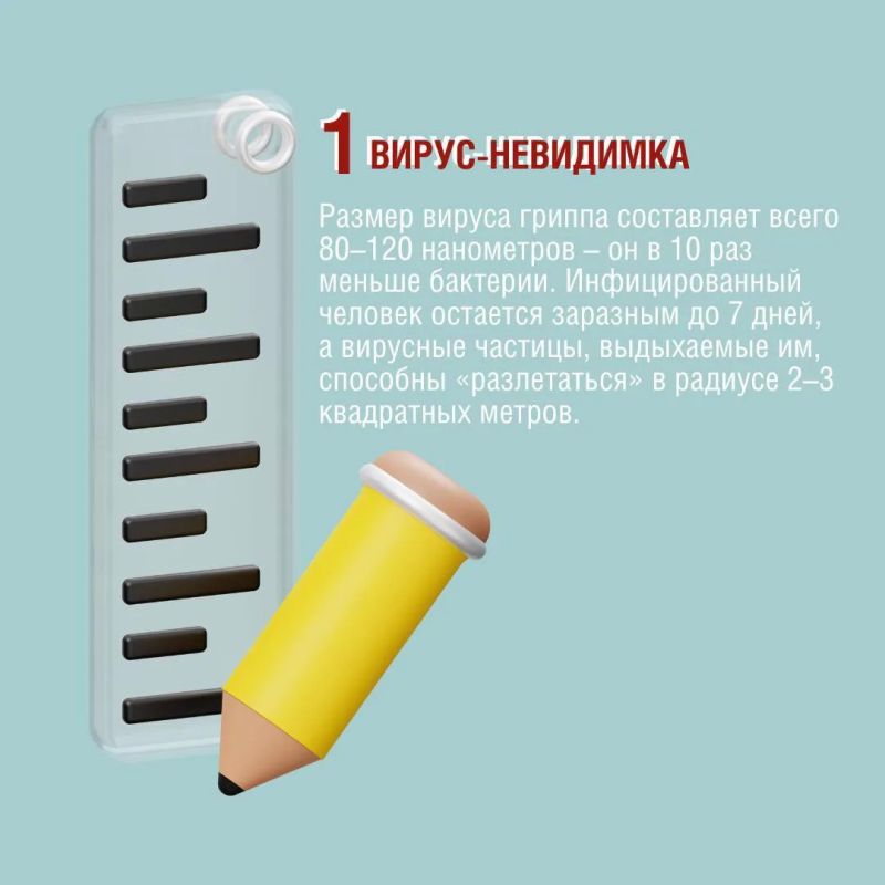 Благодаря каким качества вирус гриппа мутирует? Как долго сохраняется на различных поверхностях? Интересные факты о гриппе - в наших карточках Благодаря каким качества вирус гриппа мутирует? Как долго сохраняется на различных поверхностях? Интересные факты о гриппе - в наших карточках