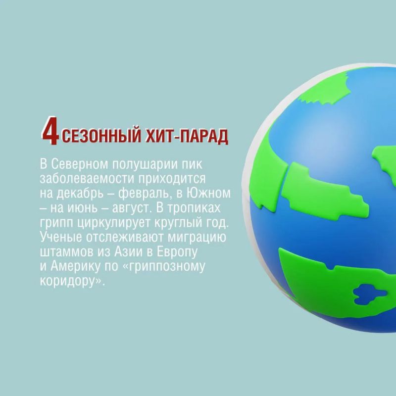 Благодаря каким качества вирус гриппа мутирует? Как долго сохраняется на различных поверхностях? Интересные факты о гриппе - в наших карточках Благодаря каким качества вирус гриппа мутирует? Как долго сохраняется на различных поверхностях? Интересные факты о гриппе - в наших карточках