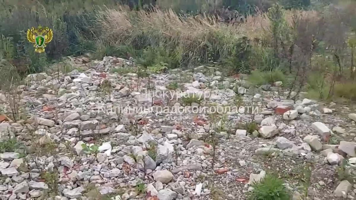 По иску природоохранной прокуратуры суд обязал собственника земельных участков ликвидировать несанкционированно размещенные отходы