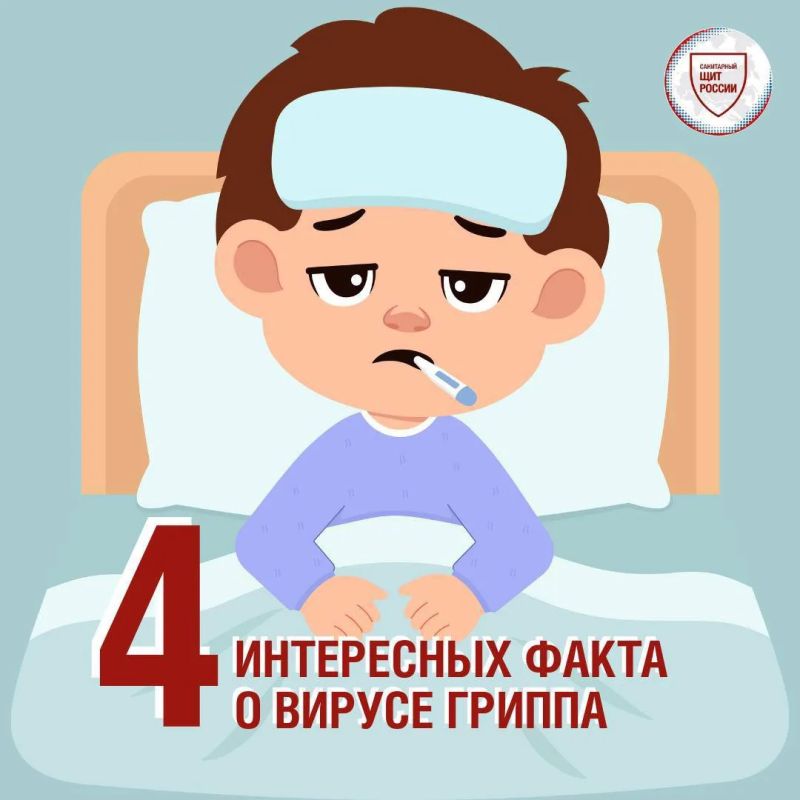 Благодаря каким качества вирус гриппа мутирует? Как долго сохраняется на различных поверхностях? Интересные факты о гриппе - в наших карточках