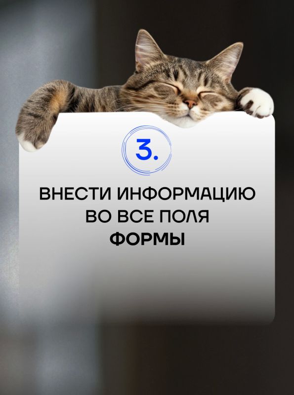 Привет!. А ты помнишь, что сегодня последний день приёма заявок на премию «ВДвижении»? Привет!. А ты помнишь, что сегодня последний день приёма заявок на премию «ВДвижении»?