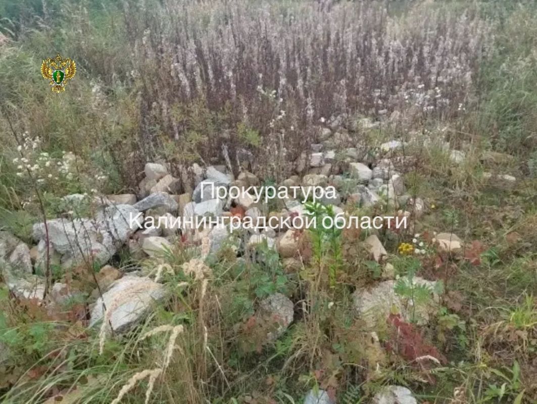 По иску природоохранной прокуратуры суд обязал собственника земельных участков ликвидировать несанкционированно размещенные отходы По иску природоохранной прокуратуры суд обязал собственника земельных участков ликвидировать несанкционированно размещенные отходы