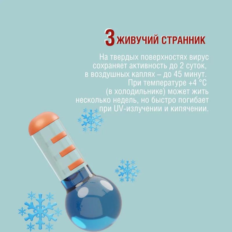Благодаря каким качества вирус гриппа мутирует? Как долго сохраняется на различных поверхностях? Интересные факты о гриппе - в наших карточках Благодаря каким качества вирус гриппа мутирует? Как долго сохраняется на различных поверхностях? Интересные факты о гриппе - в наших карточках