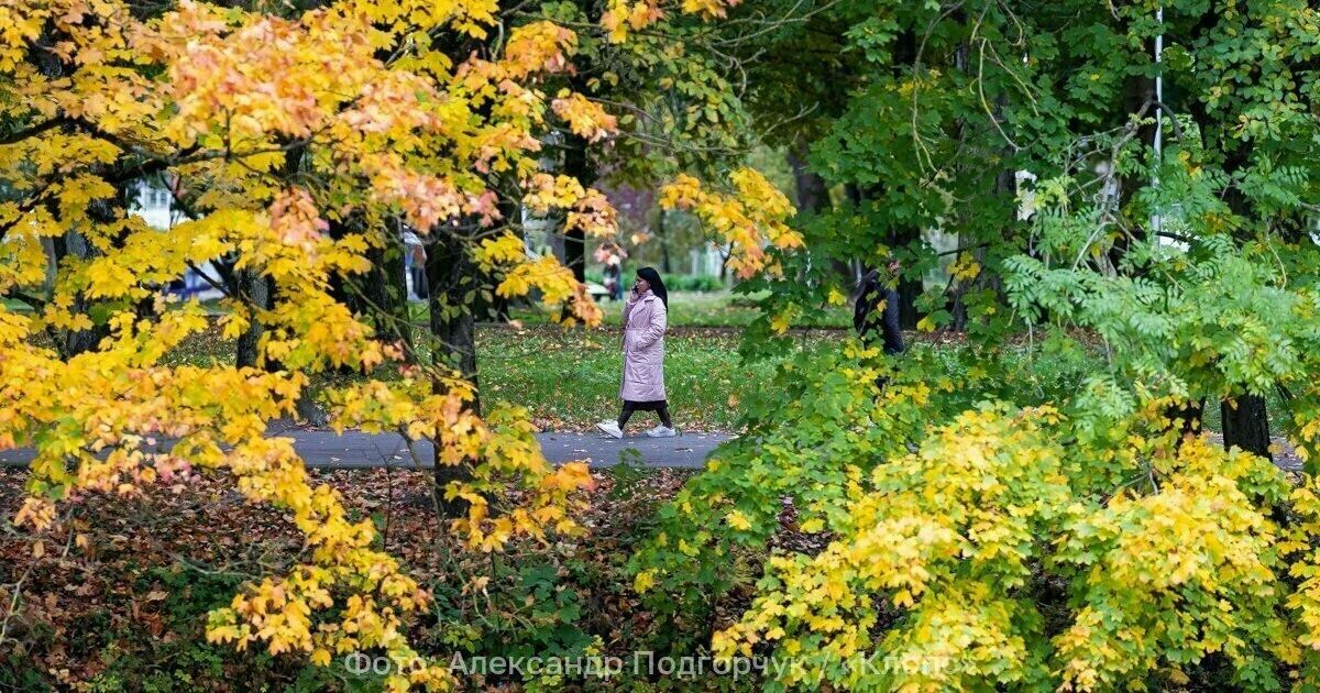 В Калининградской области во вторник потеплеет до +16°C