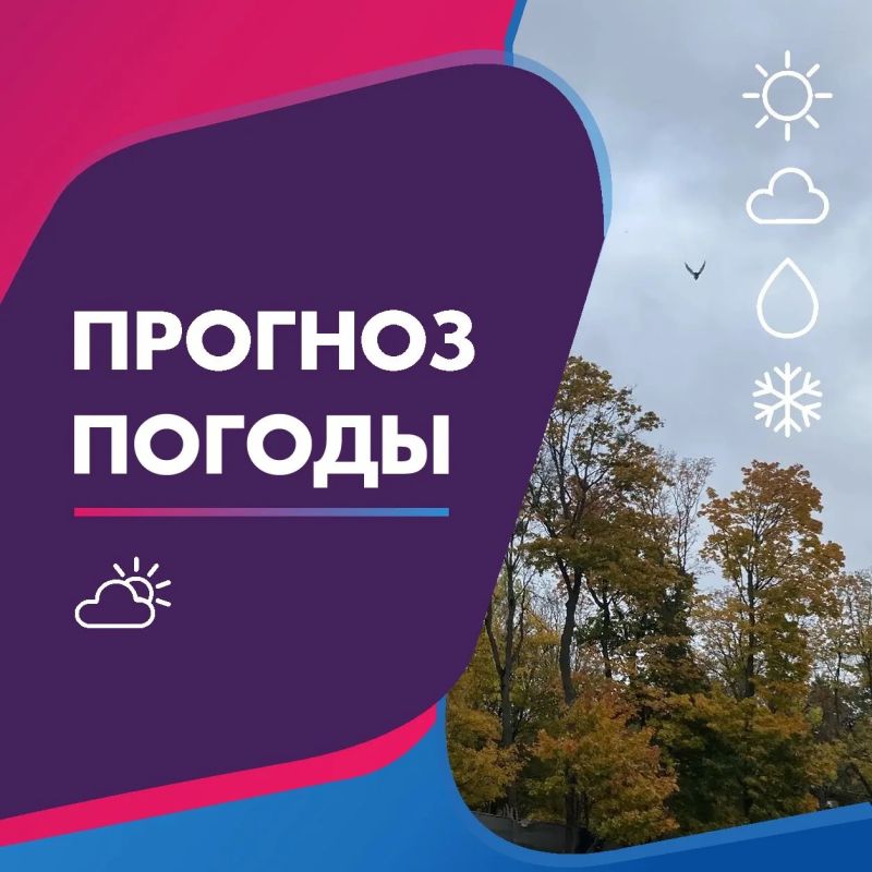 ПОГОДА 20 ОКТЯБРЯ В КАЛИНИНГРАДСКОЙ ОБЛАСТИ