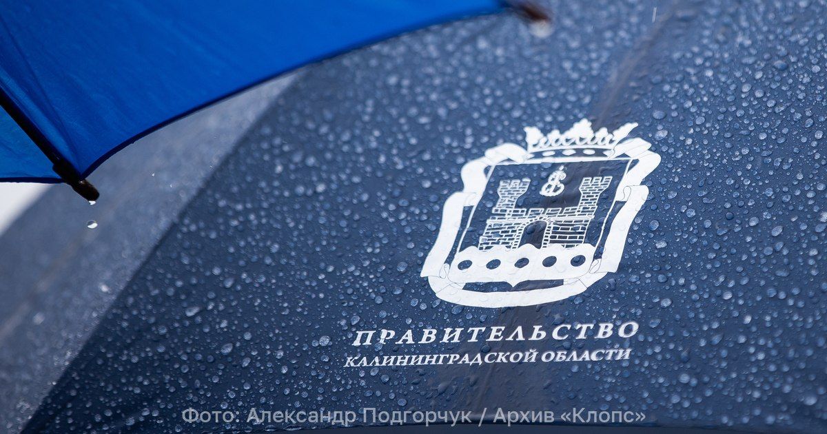 В сети опубликовали несуществующий указ «о режиме цифровой готовности» в Калининградской области