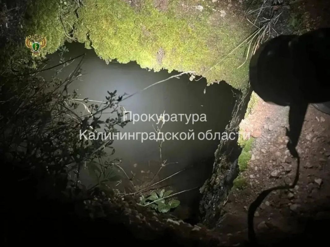 В Черняховском районе погиб 4-летний мальчик: возбуждено уголовное дело В Черняховском районе погиб 4-летний мальчик: возбуждено уголовное дело