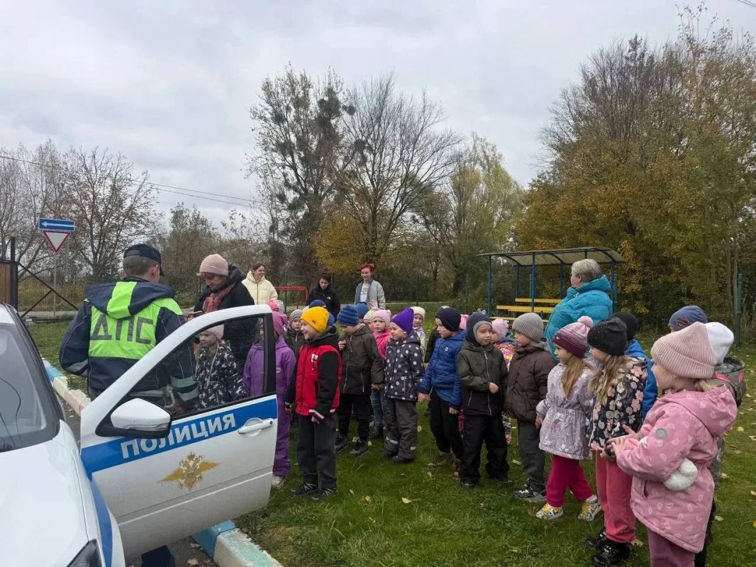 В рамках профилактики детского дорожно-транспортного травматизма сотрудники Госавтоинспекции МО МВД России «Багратионовский» провели занятие с воспитанниками МБДОУ «Владимировский детский сад»