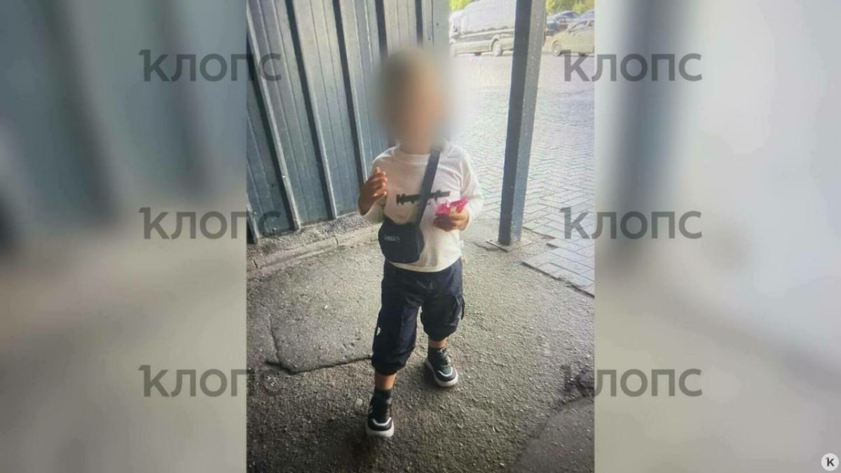 Четырёхлетний мальчик, который погиб, упав в колодец в Черняховском районе, жил без отца и оставался у неродной бабушки