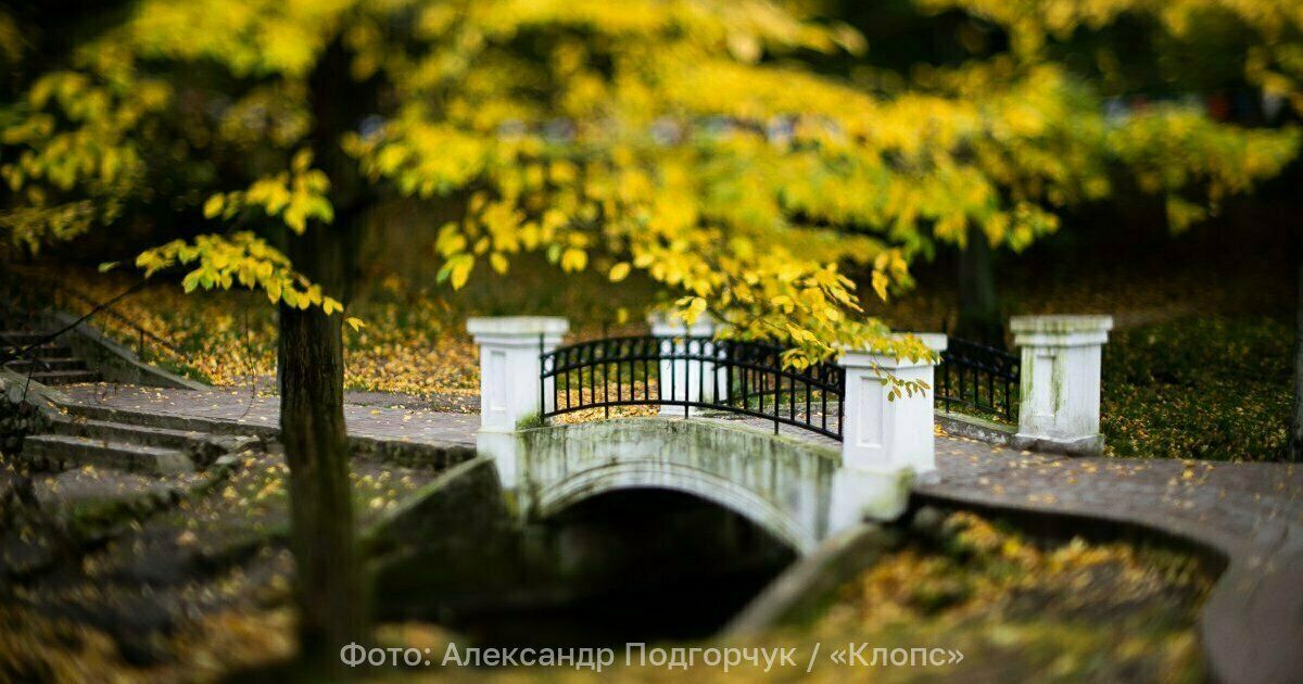 Осадков можно не ждать: прогноз погоды в Калининграде и области на 24 октября